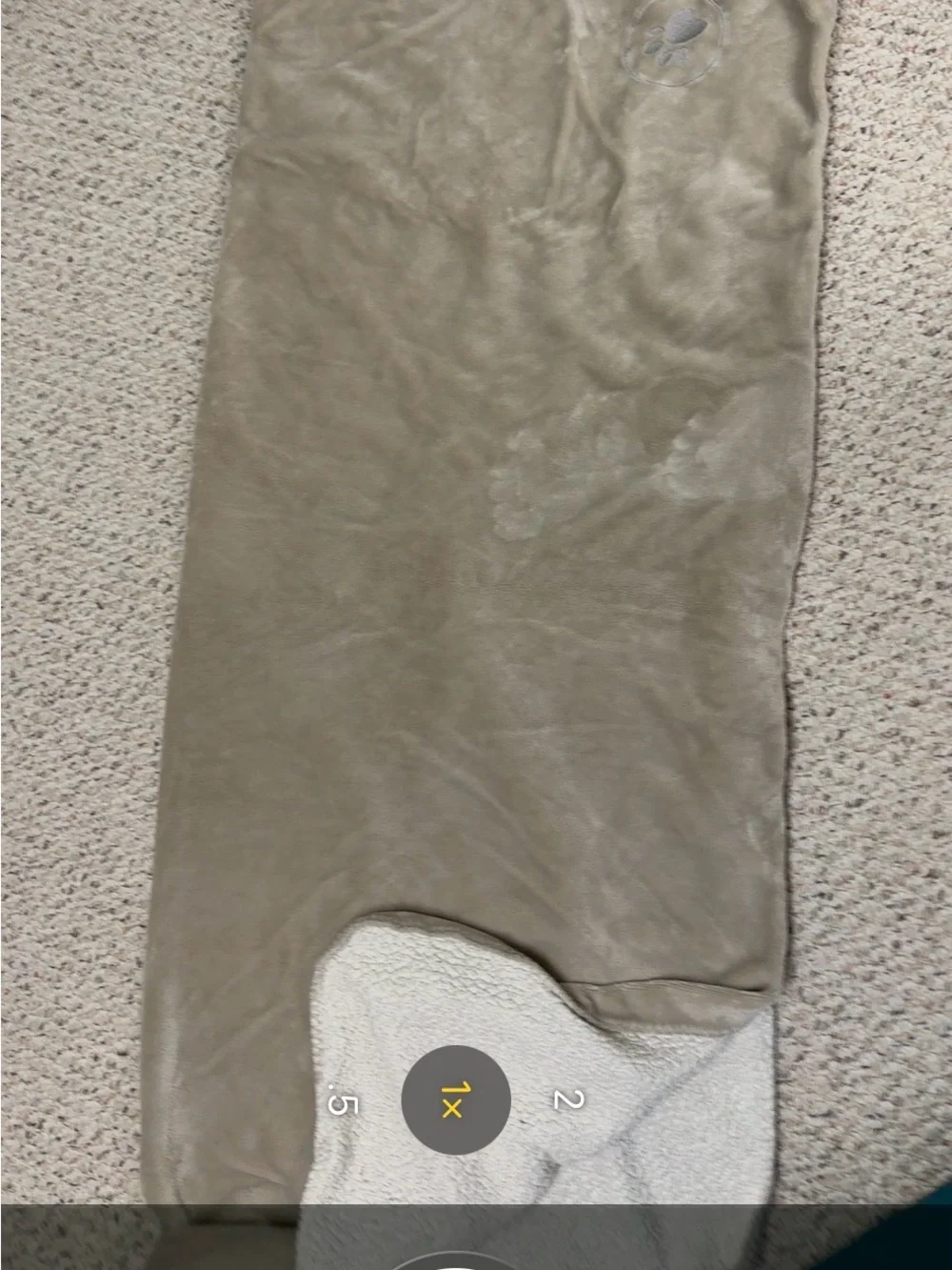 Plush Sherpa Dog Blanket - Taupe